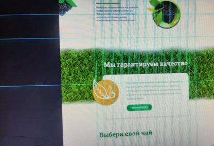 Студия веб разработки